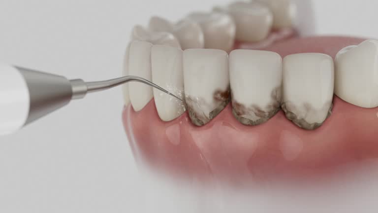Reliable Dental contractor in Greenbelt, MD by Dentist Open Now
